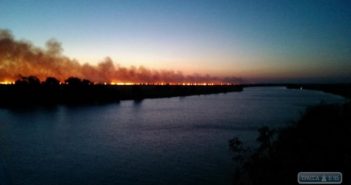 В Одесской области горел заповедник