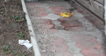 Разруха в головах