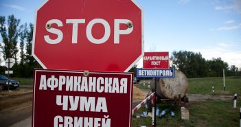 АЧС: в Балтском районе продолжается карантин