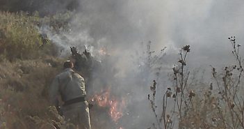 Шалости с огнем до добра не доводят