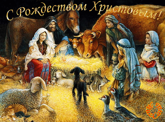 Митрополит Минский и Заславский Вениамин поздравил православных христиан с Рождеством