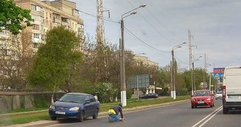 Гуманный одесский водитель спас кошку из-под колёс машин