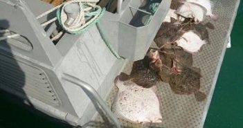 Одесский рыбак наловил калкана почти на 15 тысяч грн