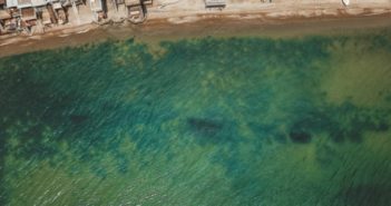 «Зеленое» море в Одессе: экологи дали совет насчет купания