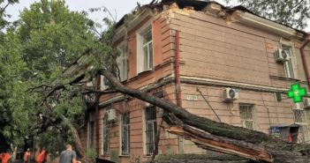 Штормовой ветер повалил полсотни деревьев в Одессе