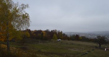 Виїзну нараду провів Балтський міський голова Сергій Мазур на території Інвалідського саду