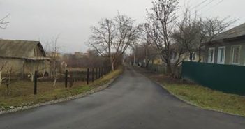 Проходя по улице Виноградной (фоторепортаж)