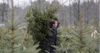 В Одеській області розпочалась операція «Новорічна ялинка 2021»