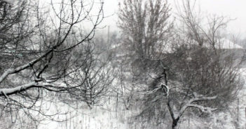 Балта. Зимняя зарисовка