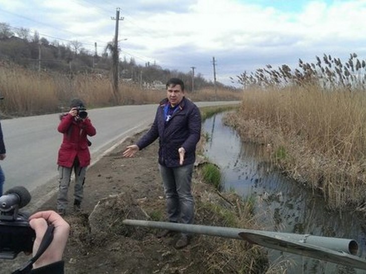 Фото саакашвили в кустах