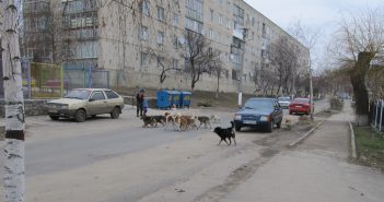 Шарик, ты мне друг, но зачем кусаться?