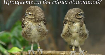 Прощаете ли вы своих обидчиков? (открытый микрофон)